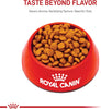Royal Canin Cavalier King Charles Spaniel Adult Breed Specific Dry Dog Food, 10 lb bag