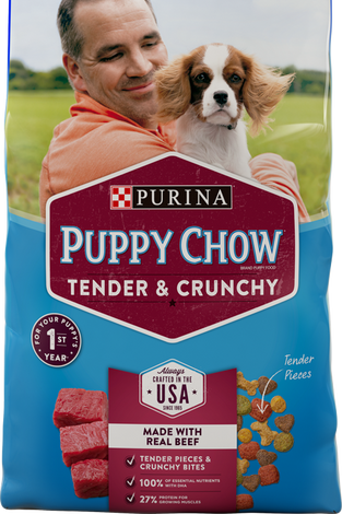 Purina Puppy Chow Tender and Crunchy Beef Recipe Dry Dog Food