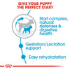 Royal Canin Small Breed Starter Babydog & Mother Dry Dog Food
