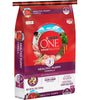 Purina ONE Healthy Puppy Chicken Recipe Dry Dog Food