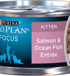 Purina Pro Plan Focus Kitten Classic Salmon & Ocean Fish Entree Canned Cat Food