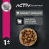 Eukanuba Adult Maintenance Small Bite Chicken Formula Dry Dog Food