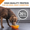Purina Pro Plan Savor Shredded Blend Beef & Rice Formula Adult Dry Dog Food