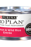 Purina Pro Plan Pate Salmon & Wild Rice Entree Wet Cat Food